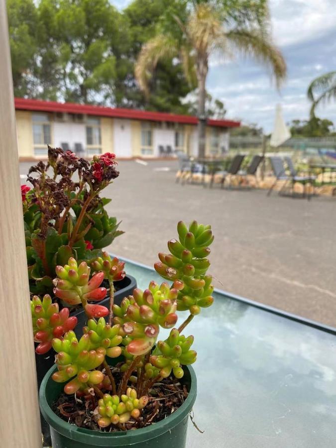 Motel Apollo Parkes